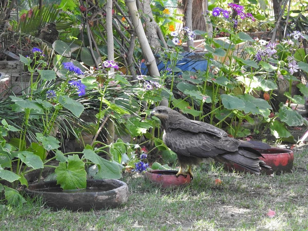 The Coral Tree Boutique Homestay Agra  Exterior photo